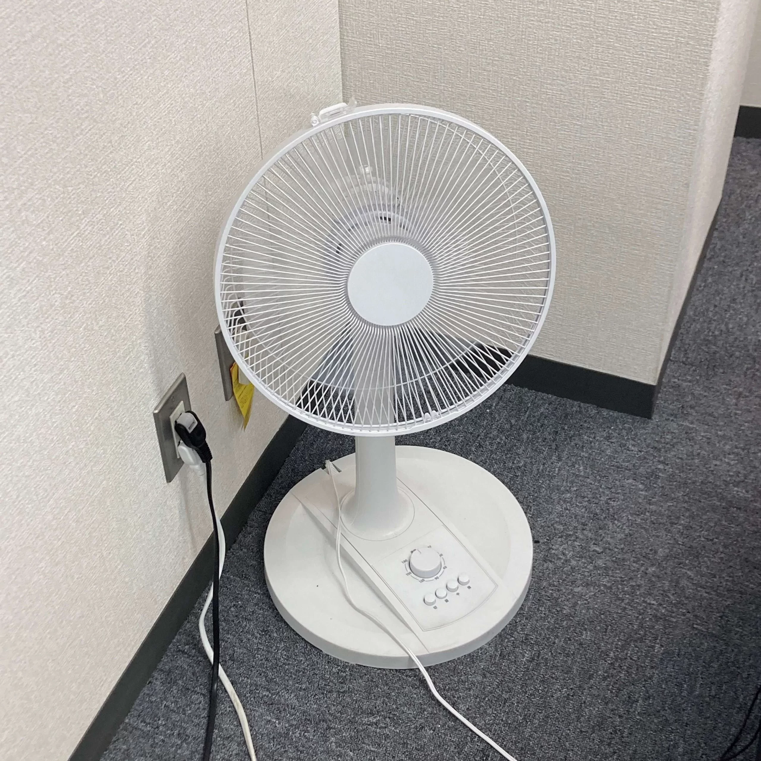 暑くなってきたので、扇風機稼働！