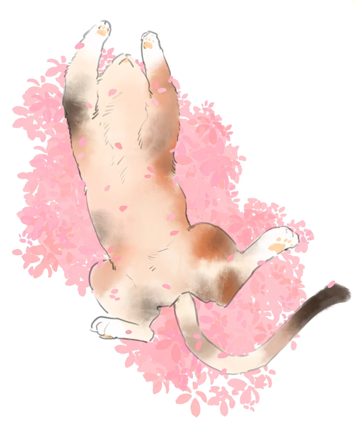 【作品紹介】ぽかぽか猫ちゃん🐱🌸