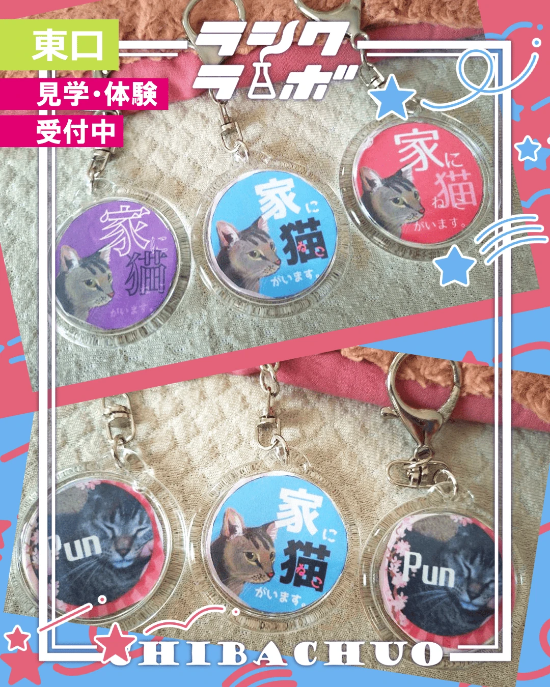 【作品紹介】家に猫がいます。