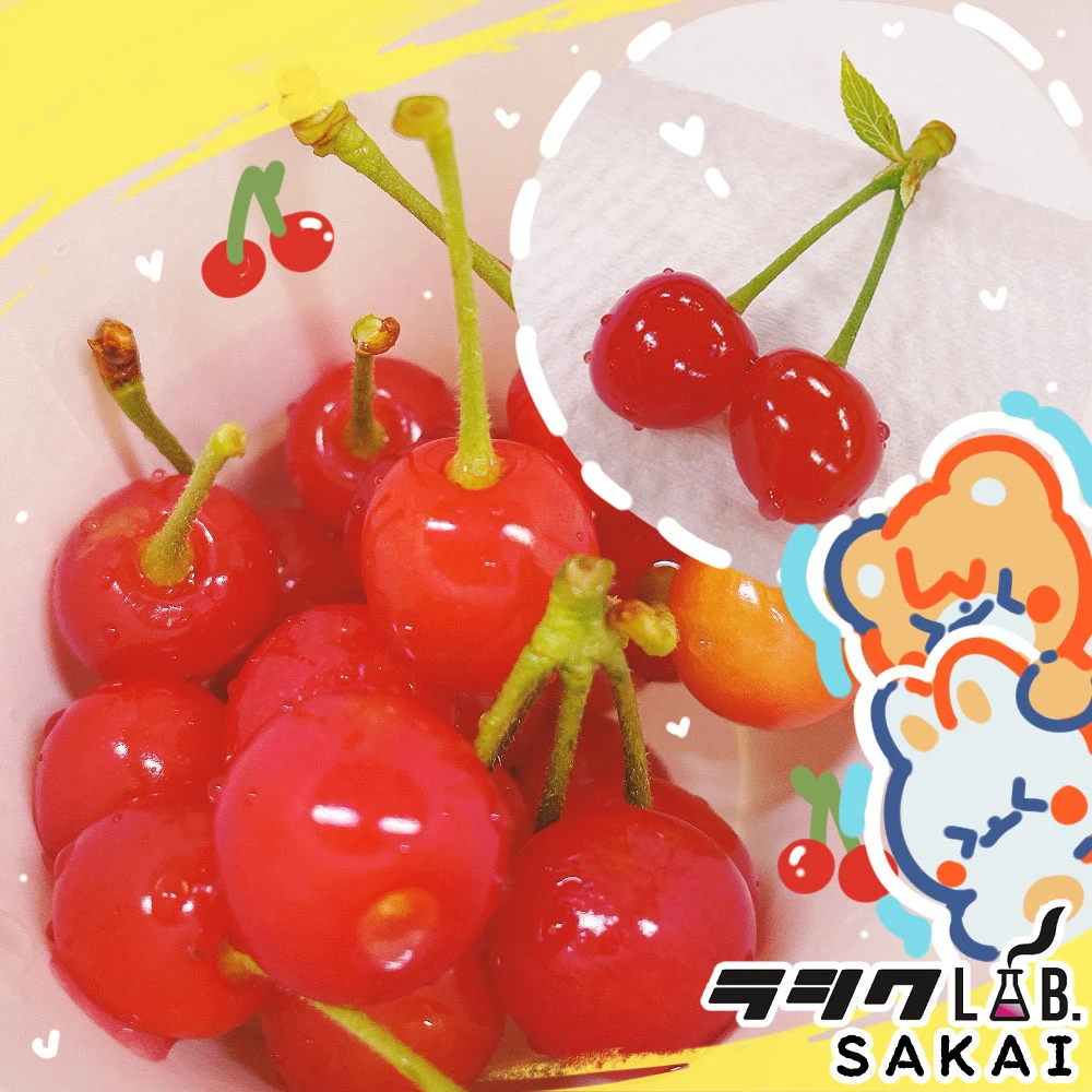 さくらんぼ！🍒