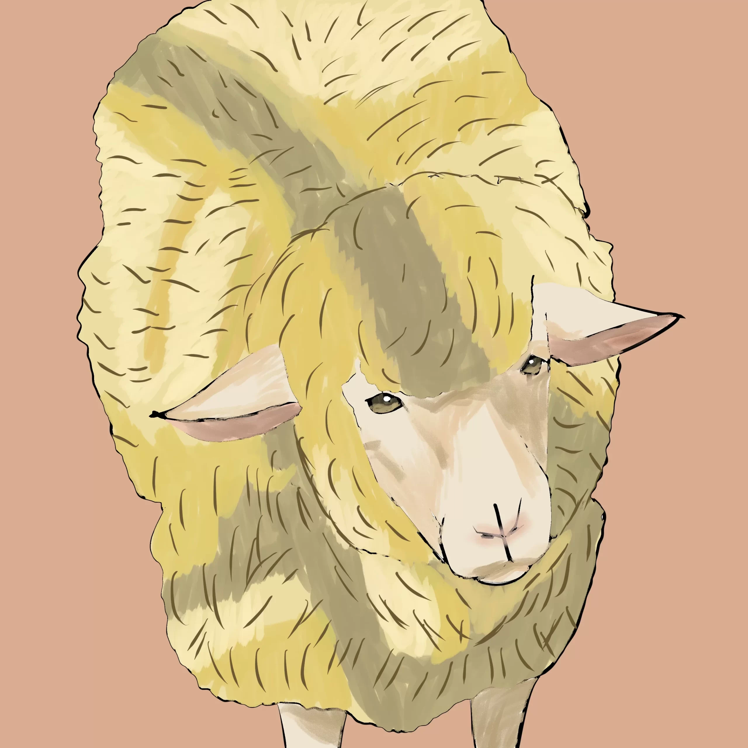 今日は十二支にも居るあの可愛い動物の日です🐏💕