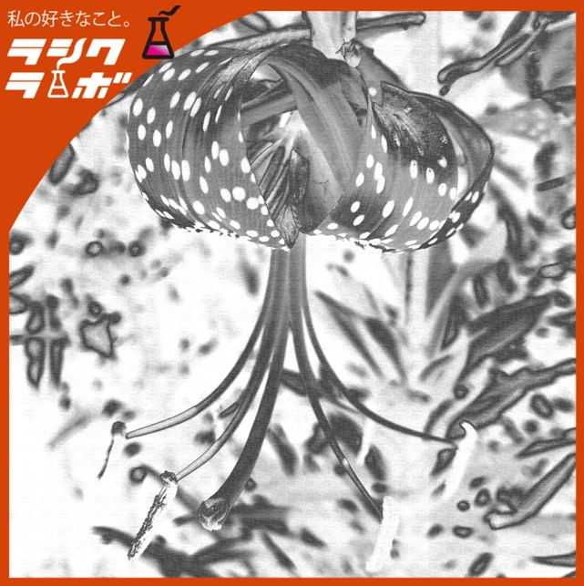 モノクロの中に潜む、命の輪郭🖤🌼