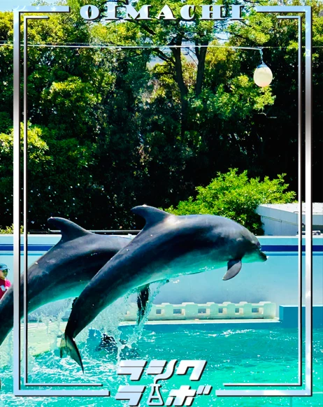 はじける青とラボの1日🌈