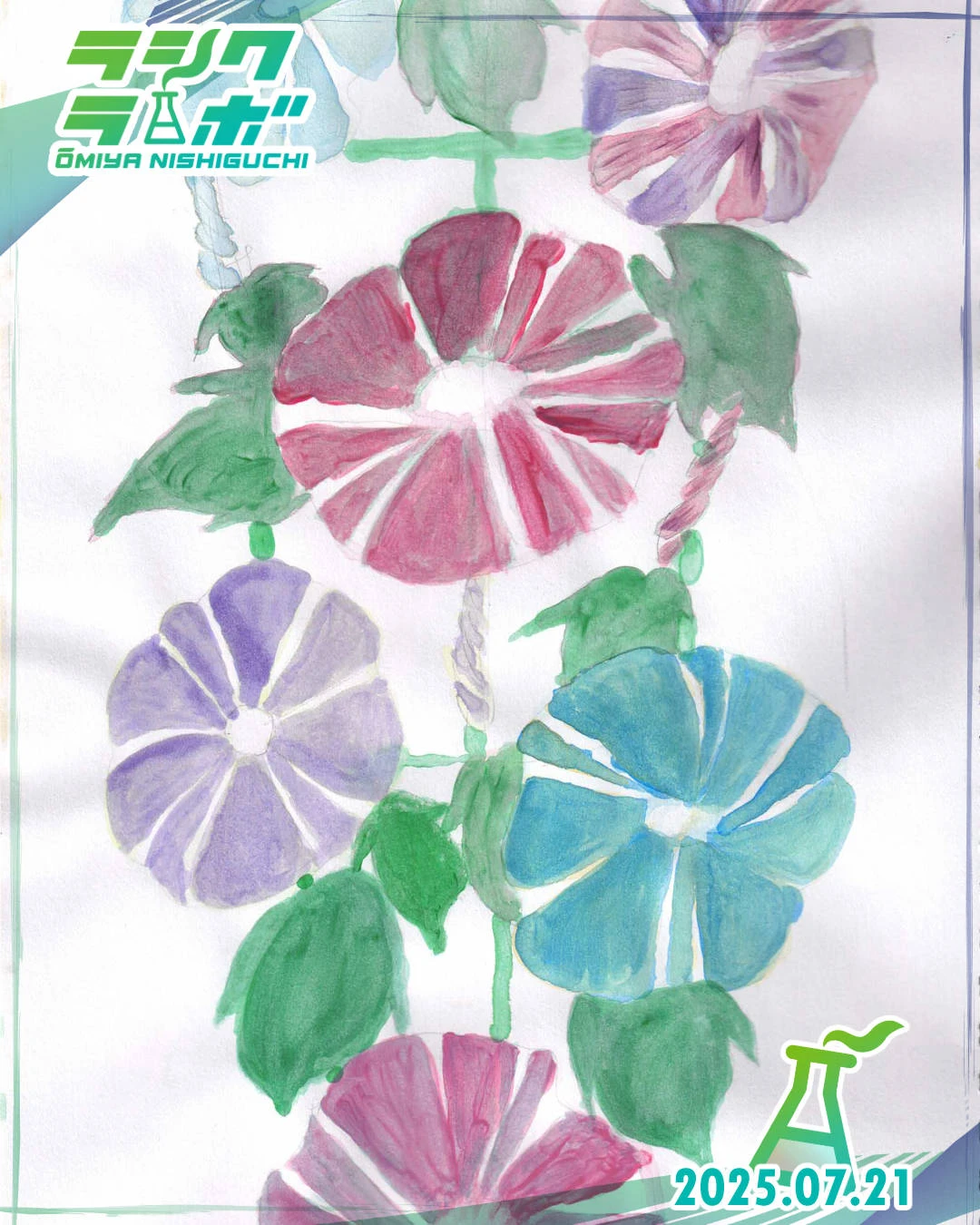 ✨🌞朝顔🌼✨