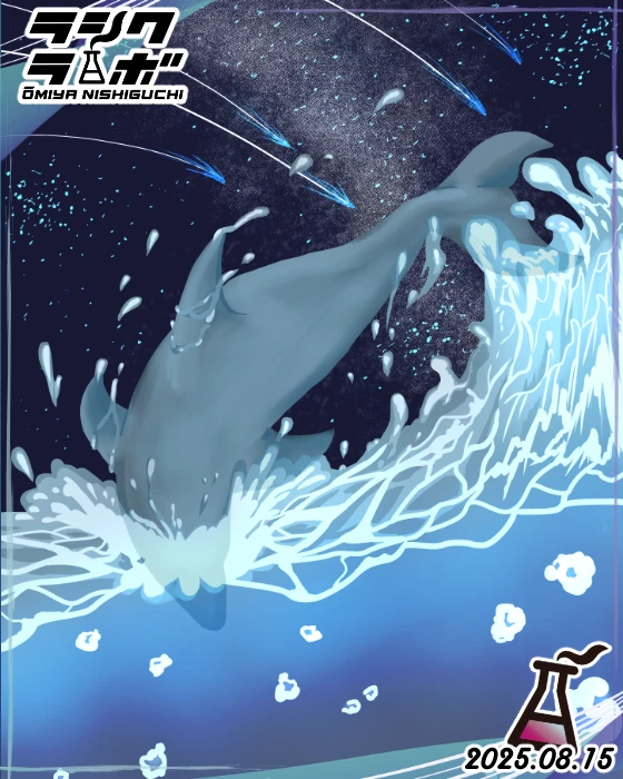 イルカ🌊🐬✨