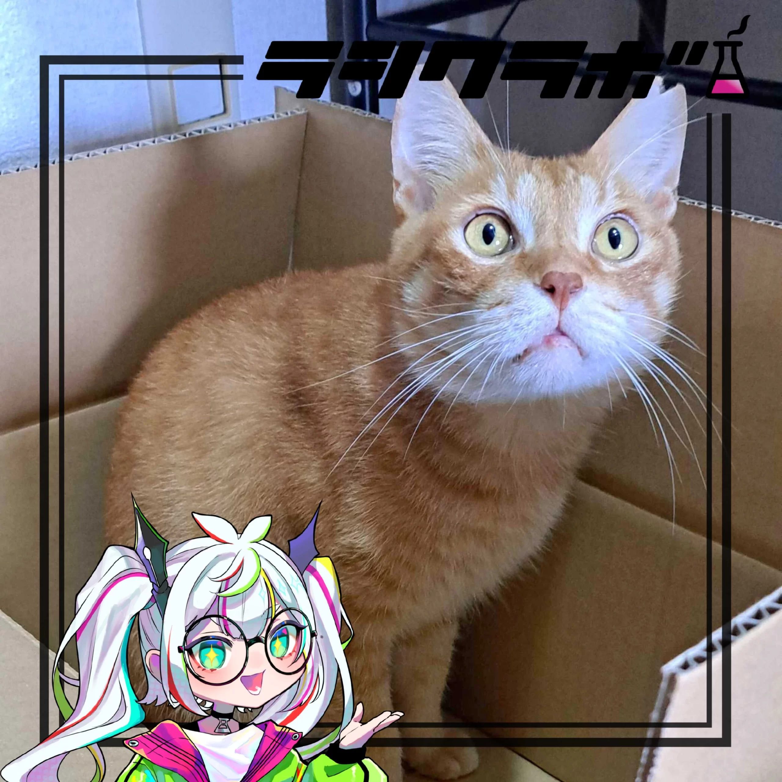 🐈施設外就労先ねこの惑星✨