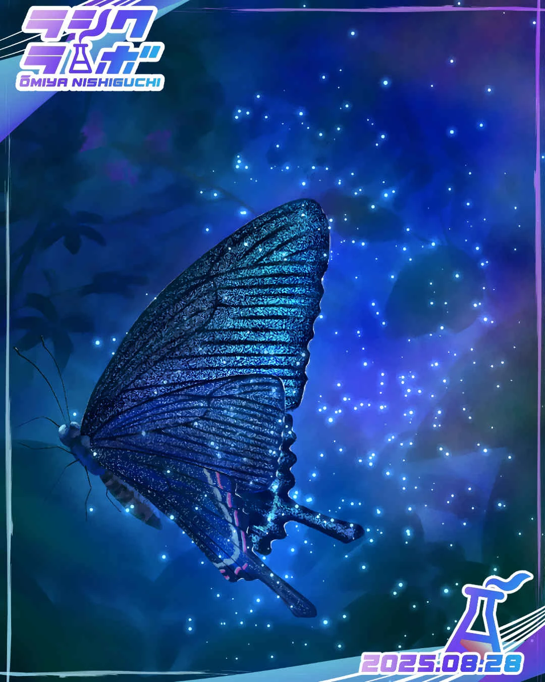 ✨🦋夜空の翅🦋✨