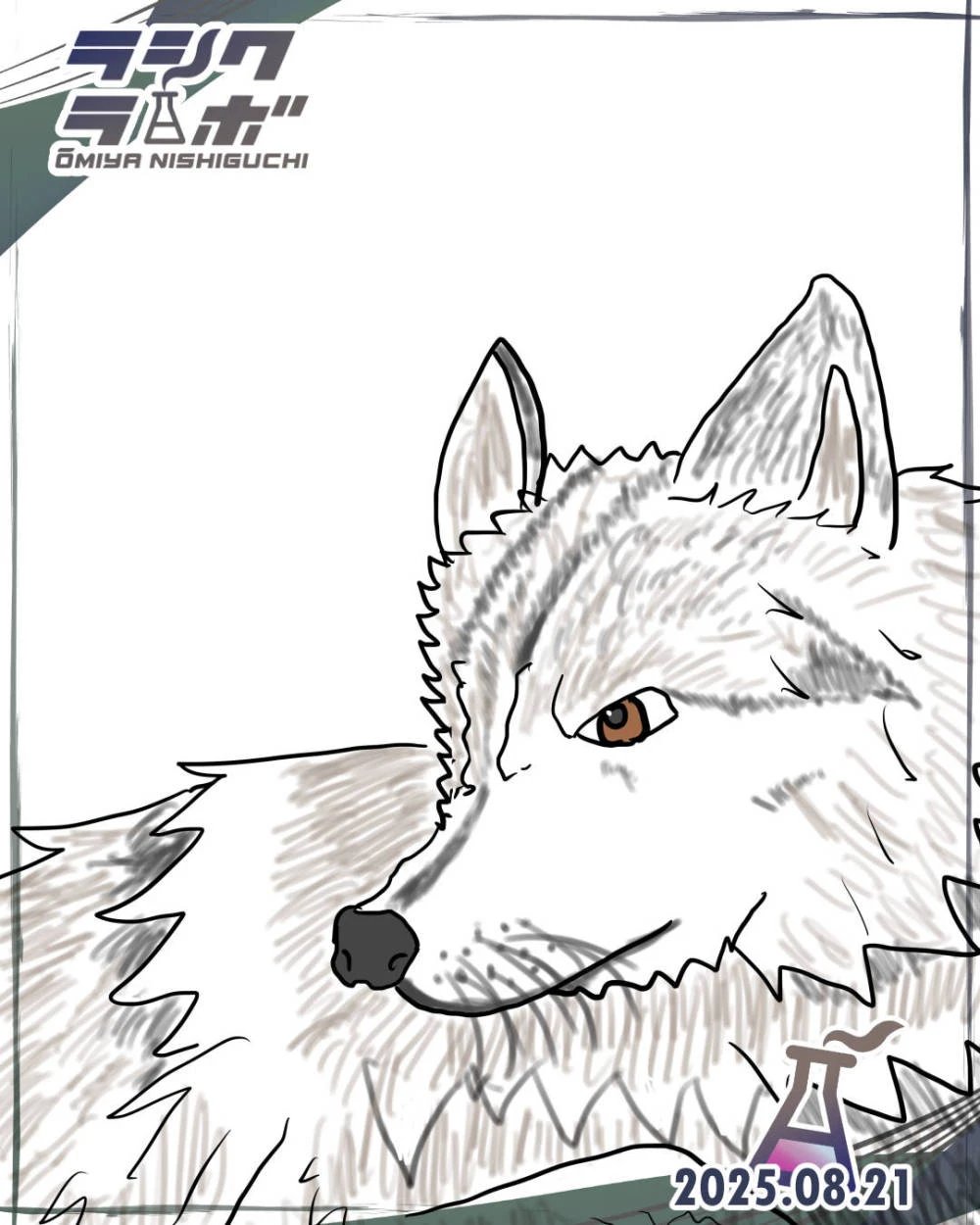 ✨🐺一匹狼⚡✨