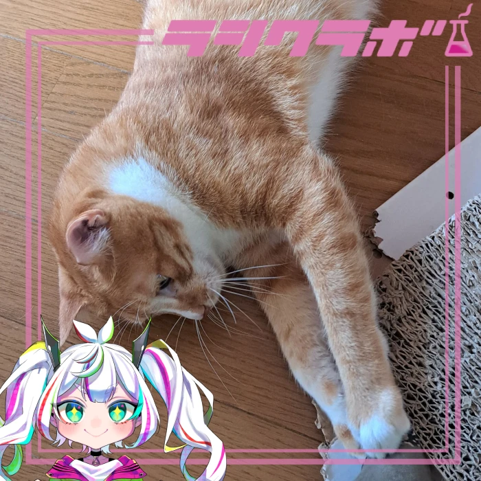 🏃テン君はダイエット中🐈💨