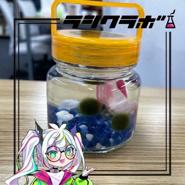 育てているマリモをご紹介します🙌