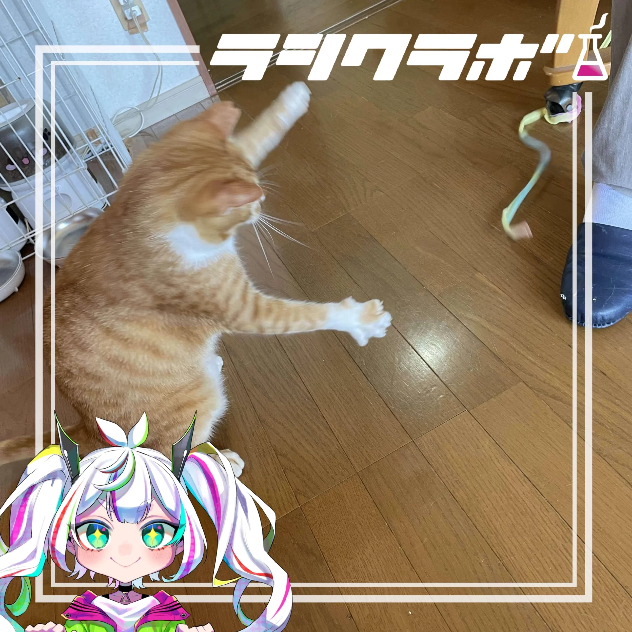 ムギくんの様子をご紹介！