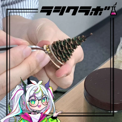 🎅利用者さんの作業風景をご紹介🎄