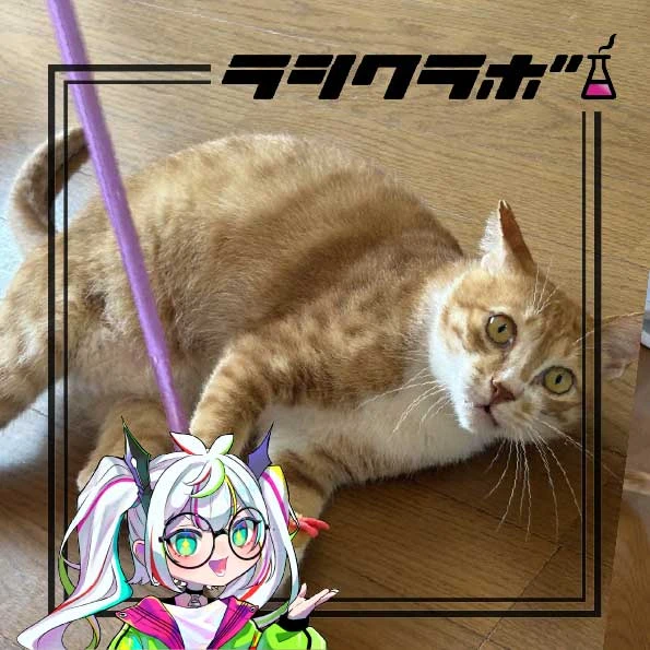 🐈ムギくんはご機嫌？？🐈
