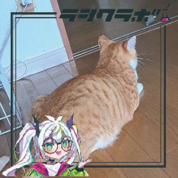 猫の惑星(猫の保護施設)のご紹介です！