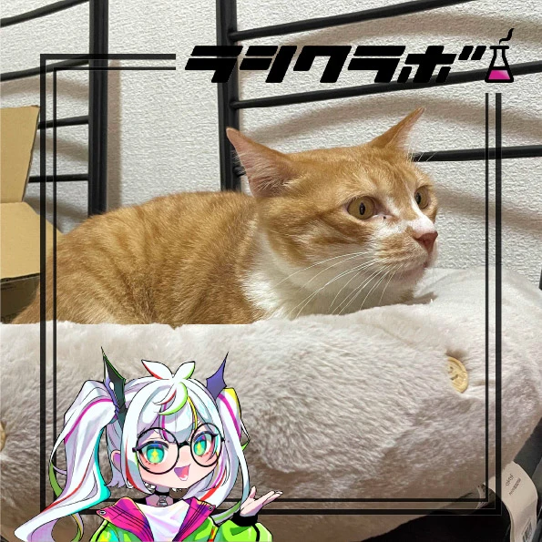 🐈猫の惑星のムギくんの様子は？🐈