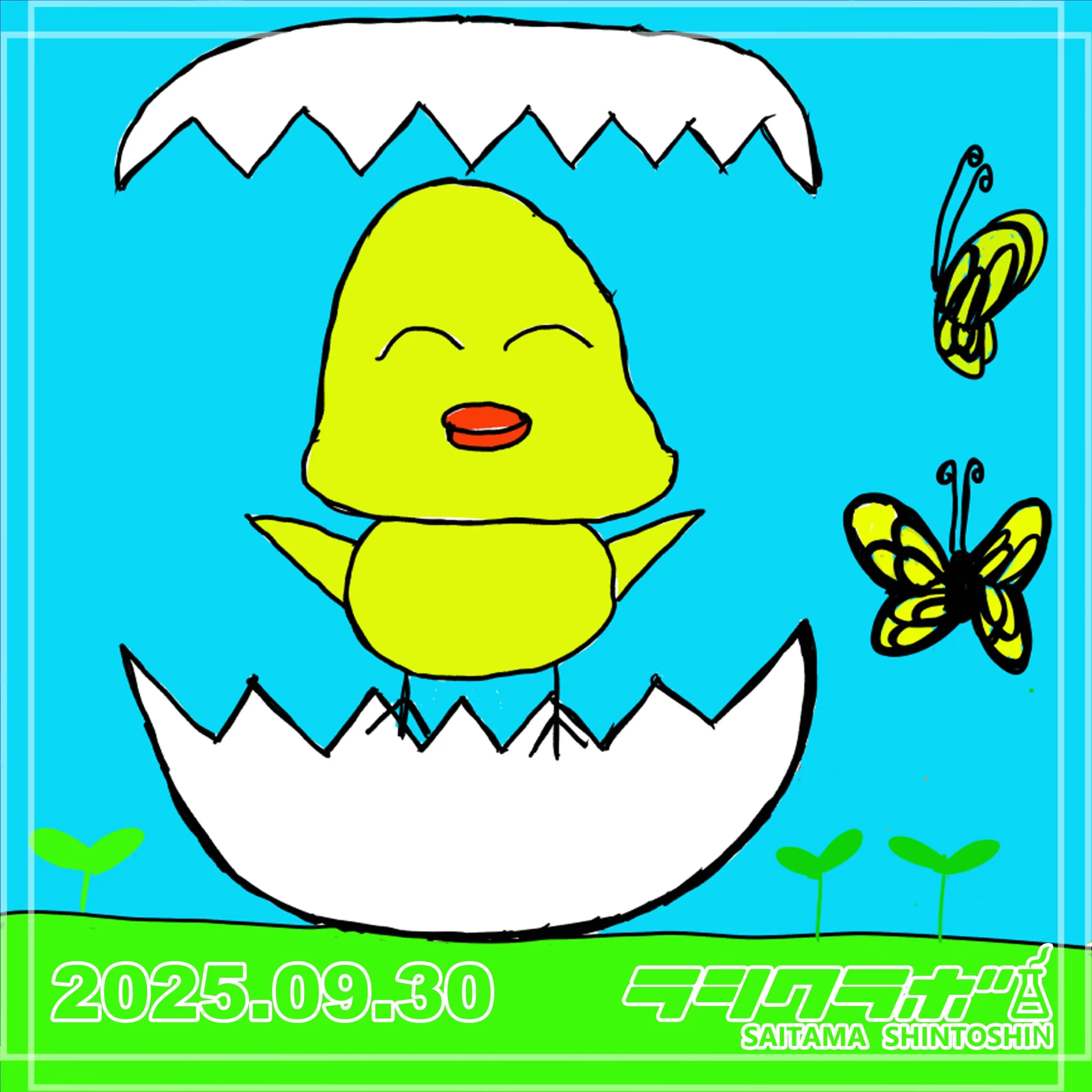 🐣元気なひよこが産まれました🐣