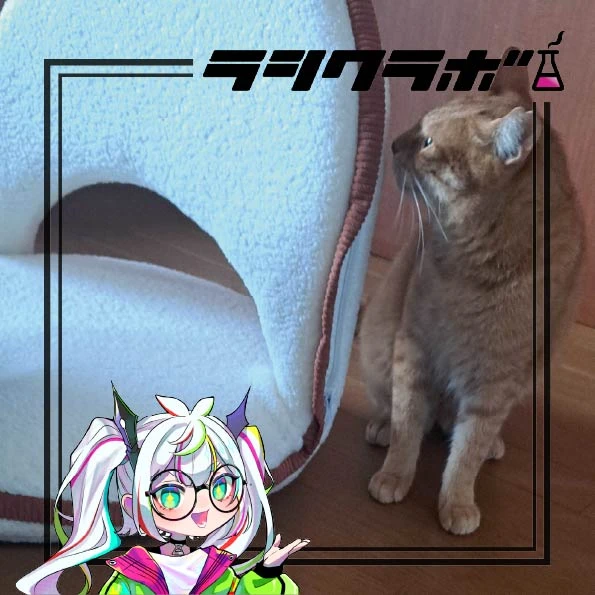 猫の惑星(猫の保護施設)のご紹介！