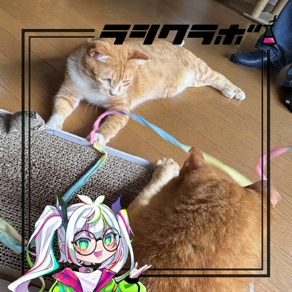 2匹の日常をご紹介🐈🐱