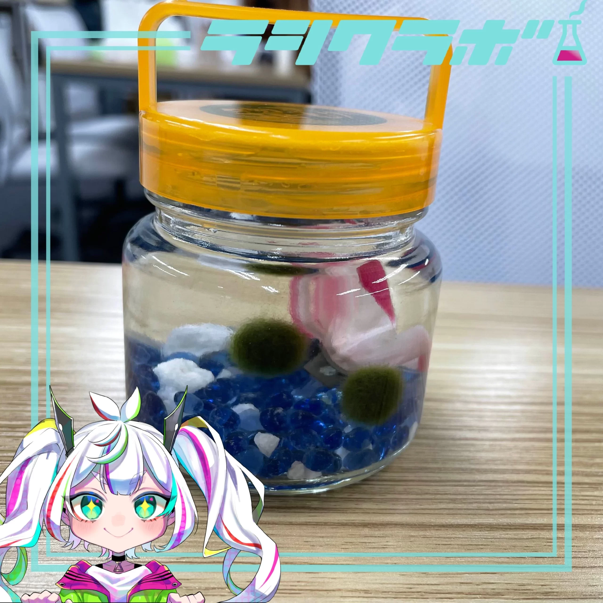 利用者さんと育てている植物をご紹介！