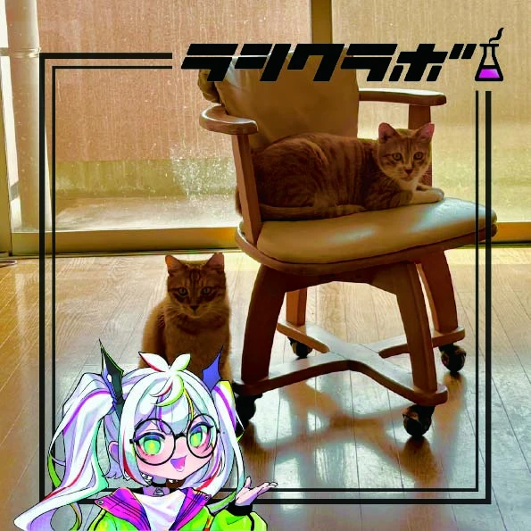 猫の保護施設のご紹介です🐈🐾