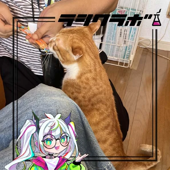 保護猫施設のご紹介🐈