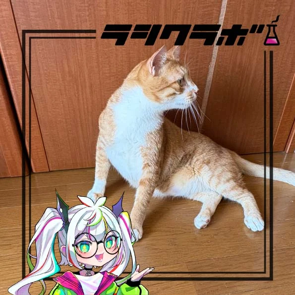 今日のムギくんです！