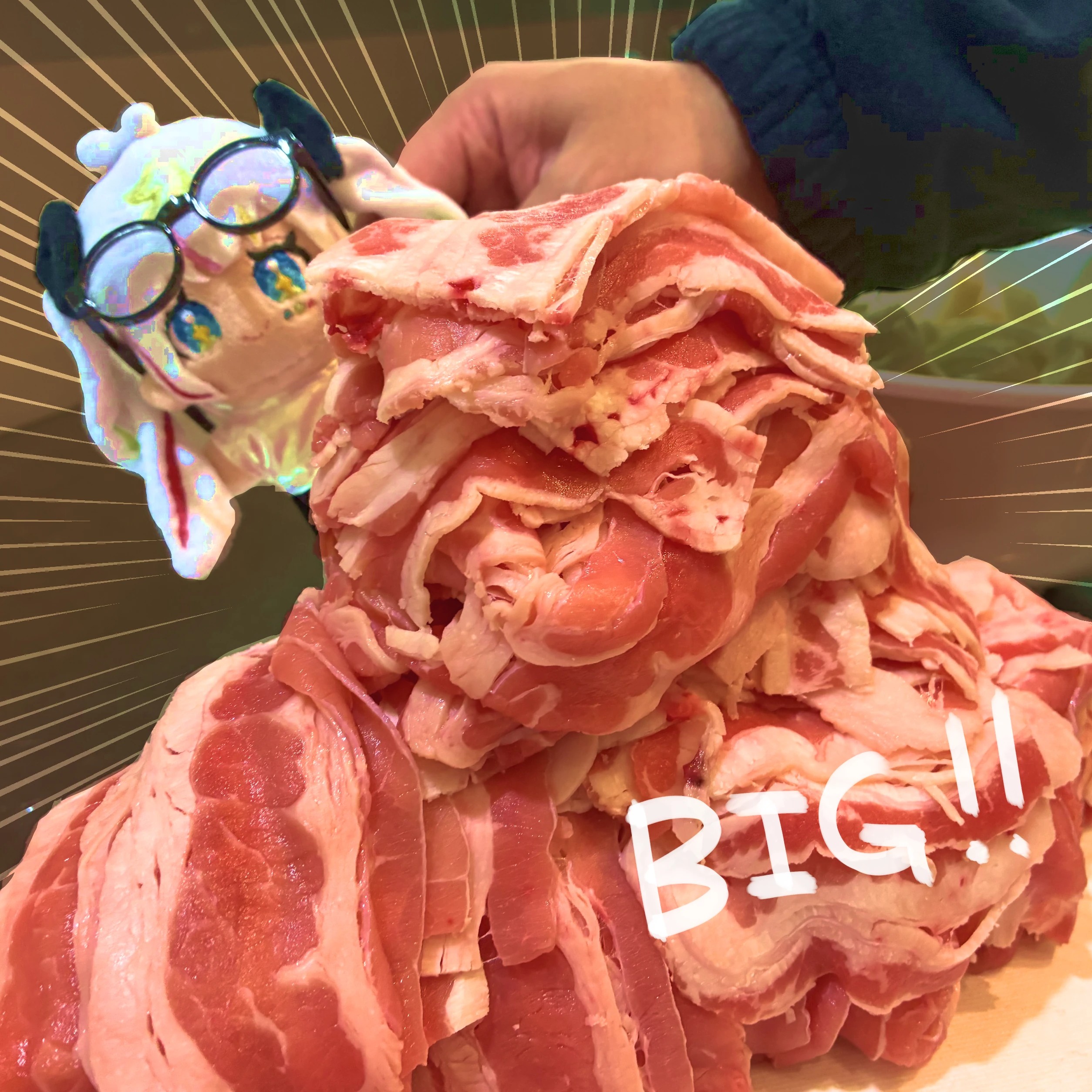 お肉大量！！🍖✨贅沢お肉の牛丼パーティー✨🥢