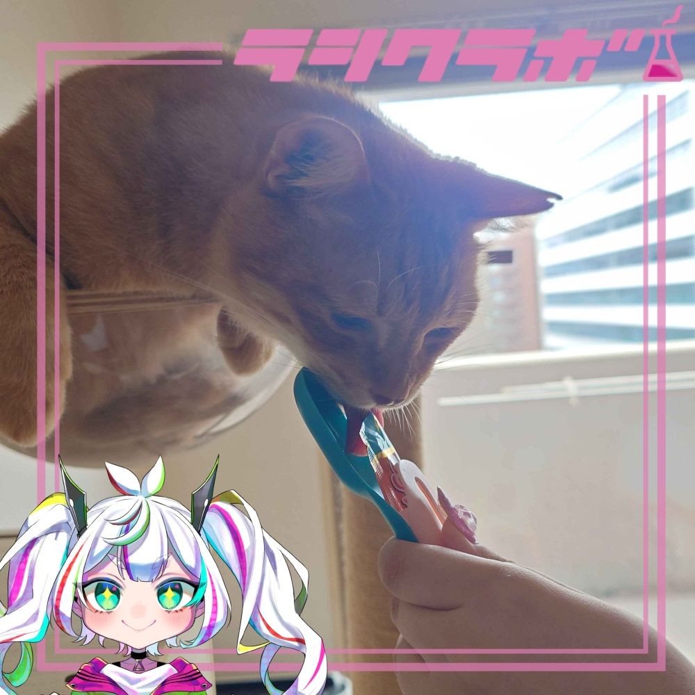 🐈ねこの惑星でお茶会を開催しました☕️