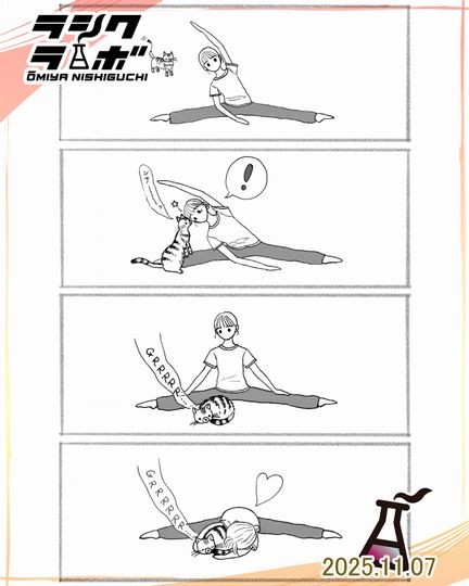 タイトル✨🐈【私と猫】🐱✨