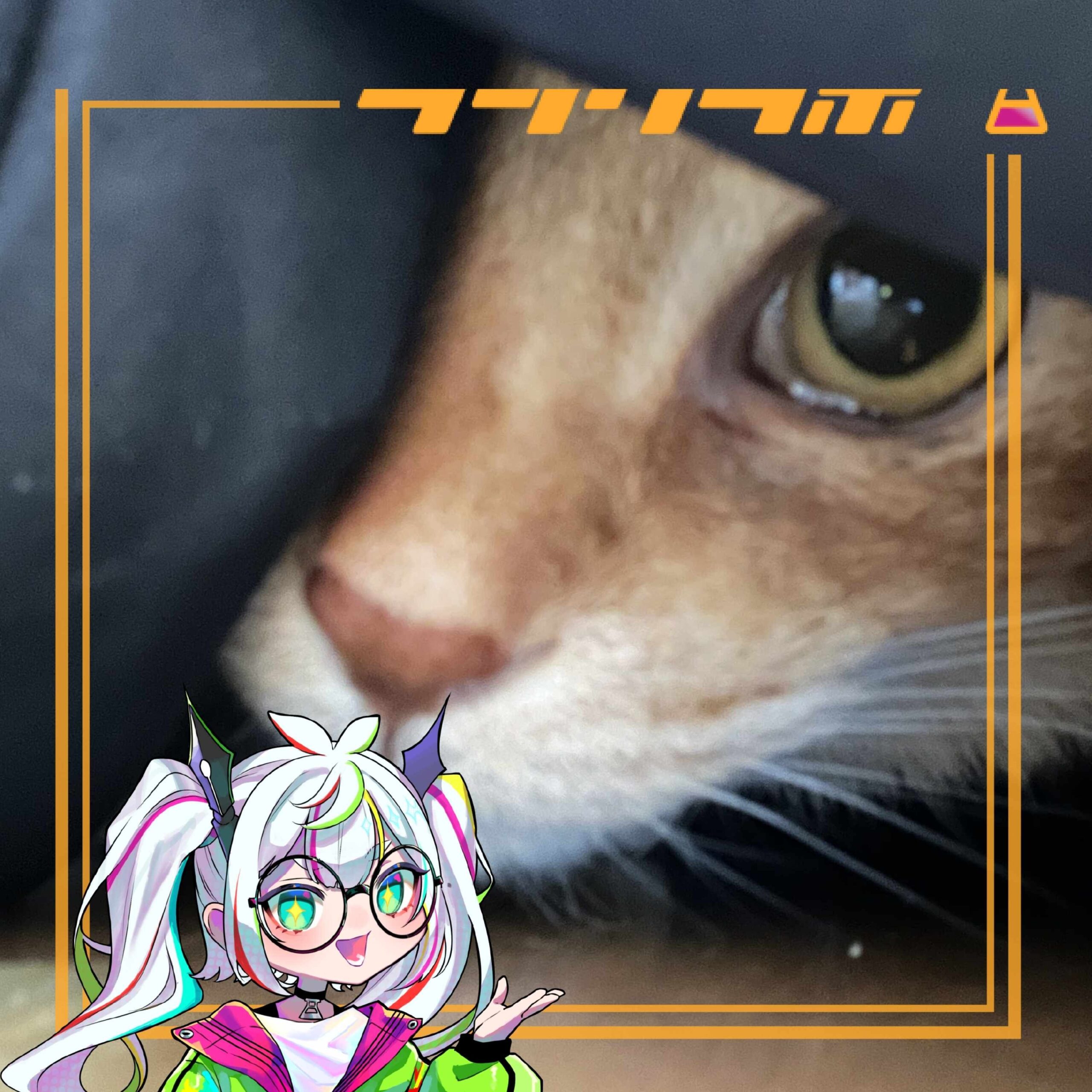 ねこの惑星をご紹介！～ドアップテンくん～