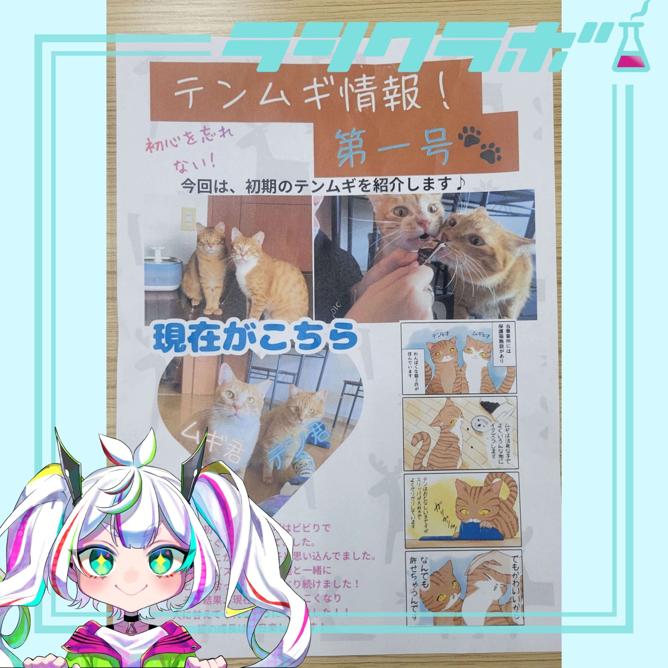 🐈利用者さんが作ってくれた「ねこの惑星」壁新聞を紹介🐈