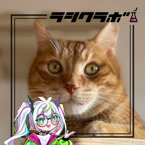 今回は保護猫施設ねこの惑星の
紹介です✨