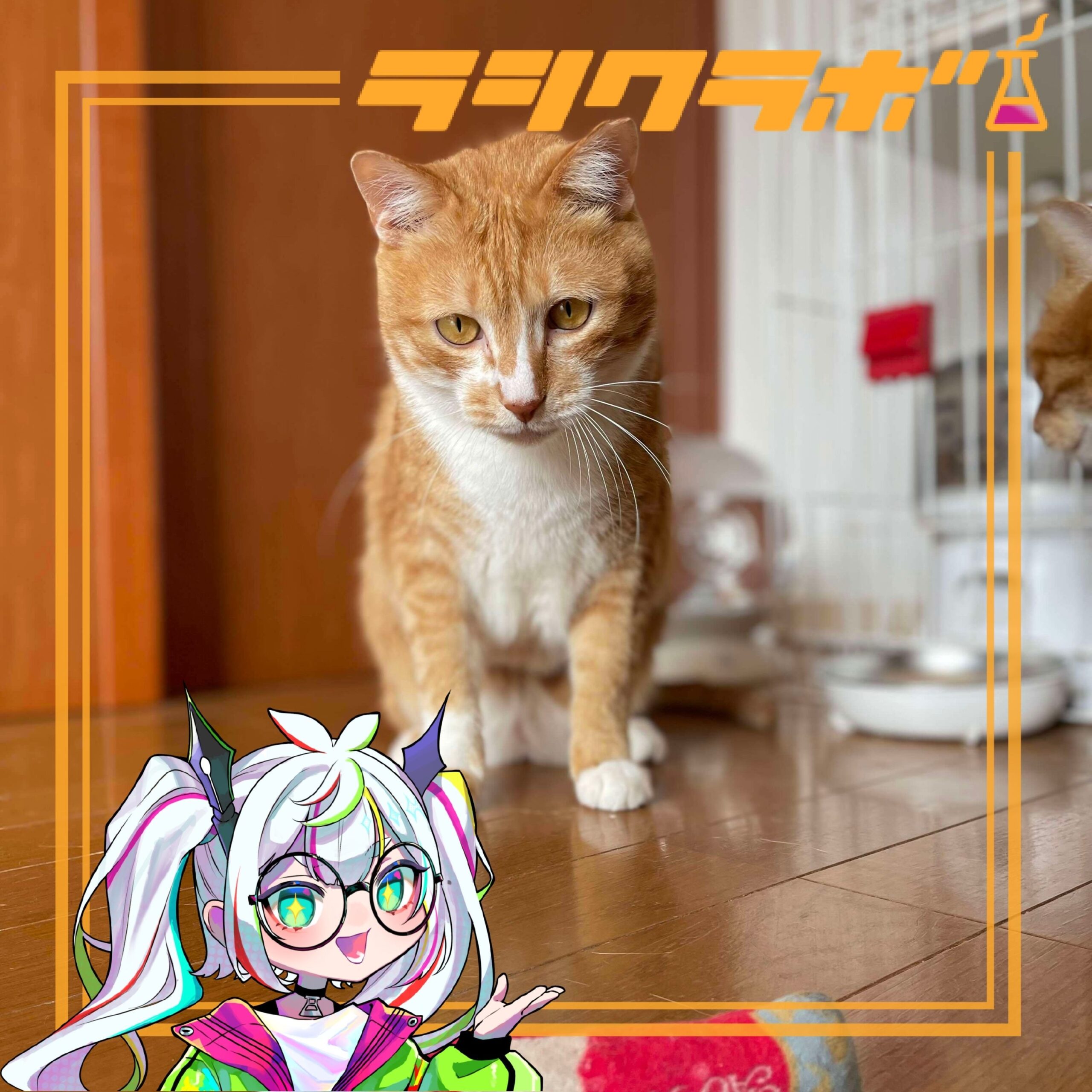 🐈静かな駆け引き始まる…？🐾