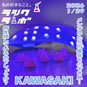 メンダコたちの集会をのぞき見…👀