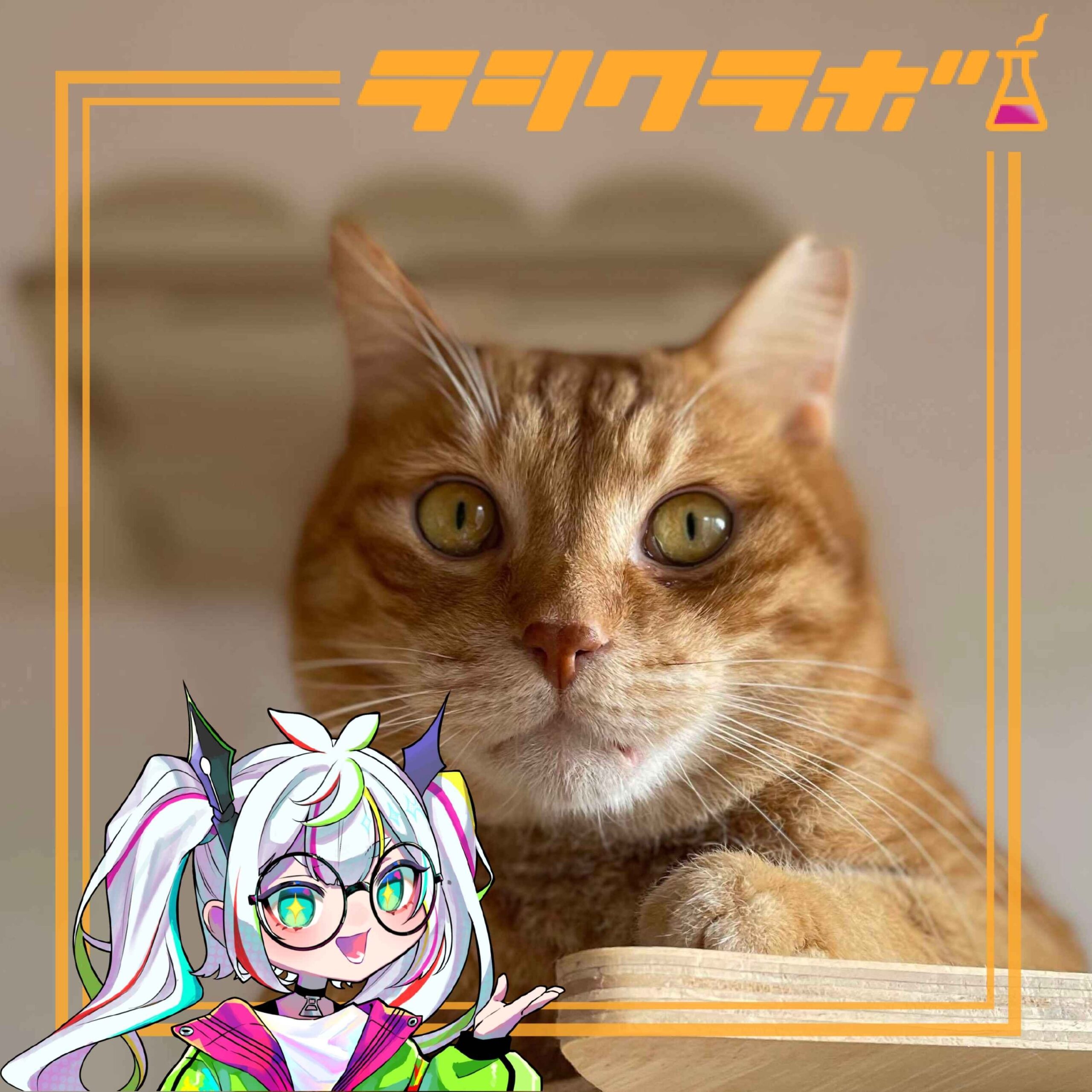 猫の惑星の様子をご紹介！