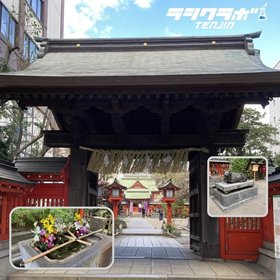 【1/8】三社参り⛩️～三社目～