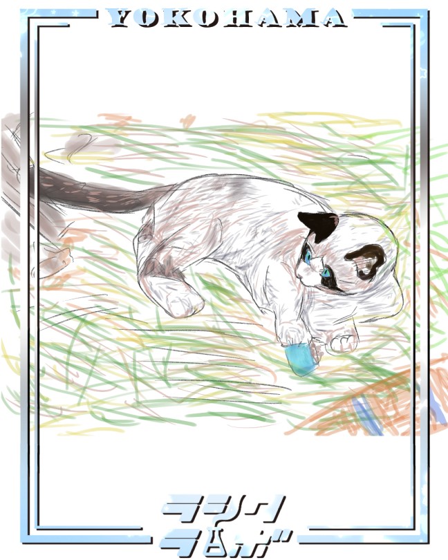 ひなたぼっこ🐱