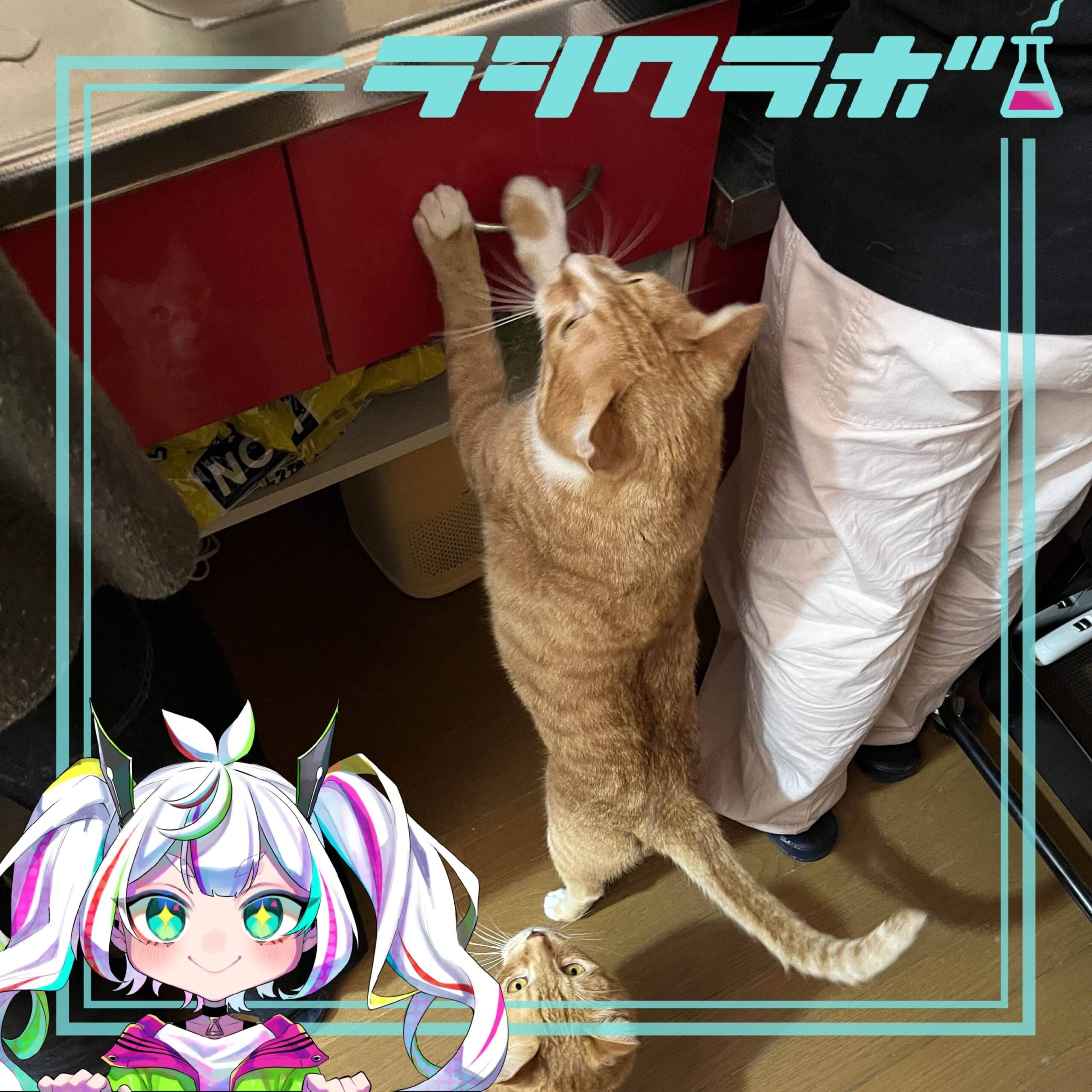 🐈ねこの惑星の様子をご紹介🐾