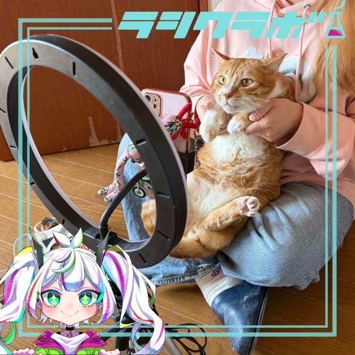 🐈猫の惑星の撮影風景で📸✨