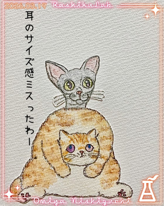 🐱【コーニッシュレックシュン】✨️