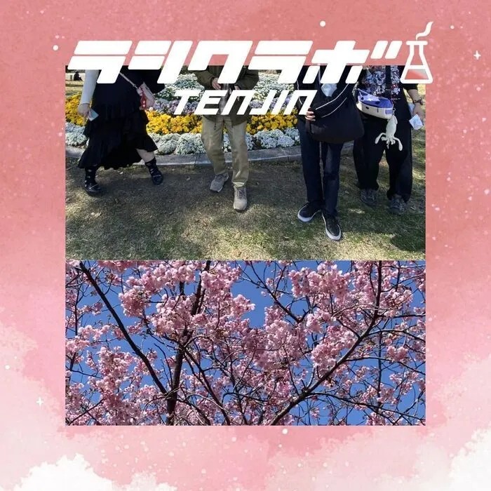 🌸お花見イベント🌸