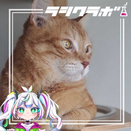 猫の惑星　テン君、猫のお世話